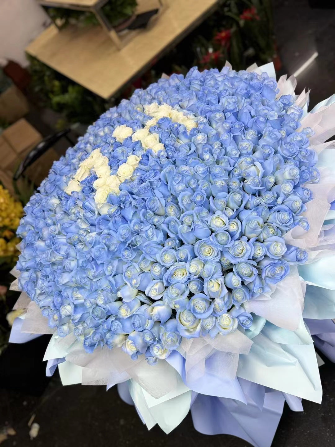 FTGP 8 ~ 520 Roses