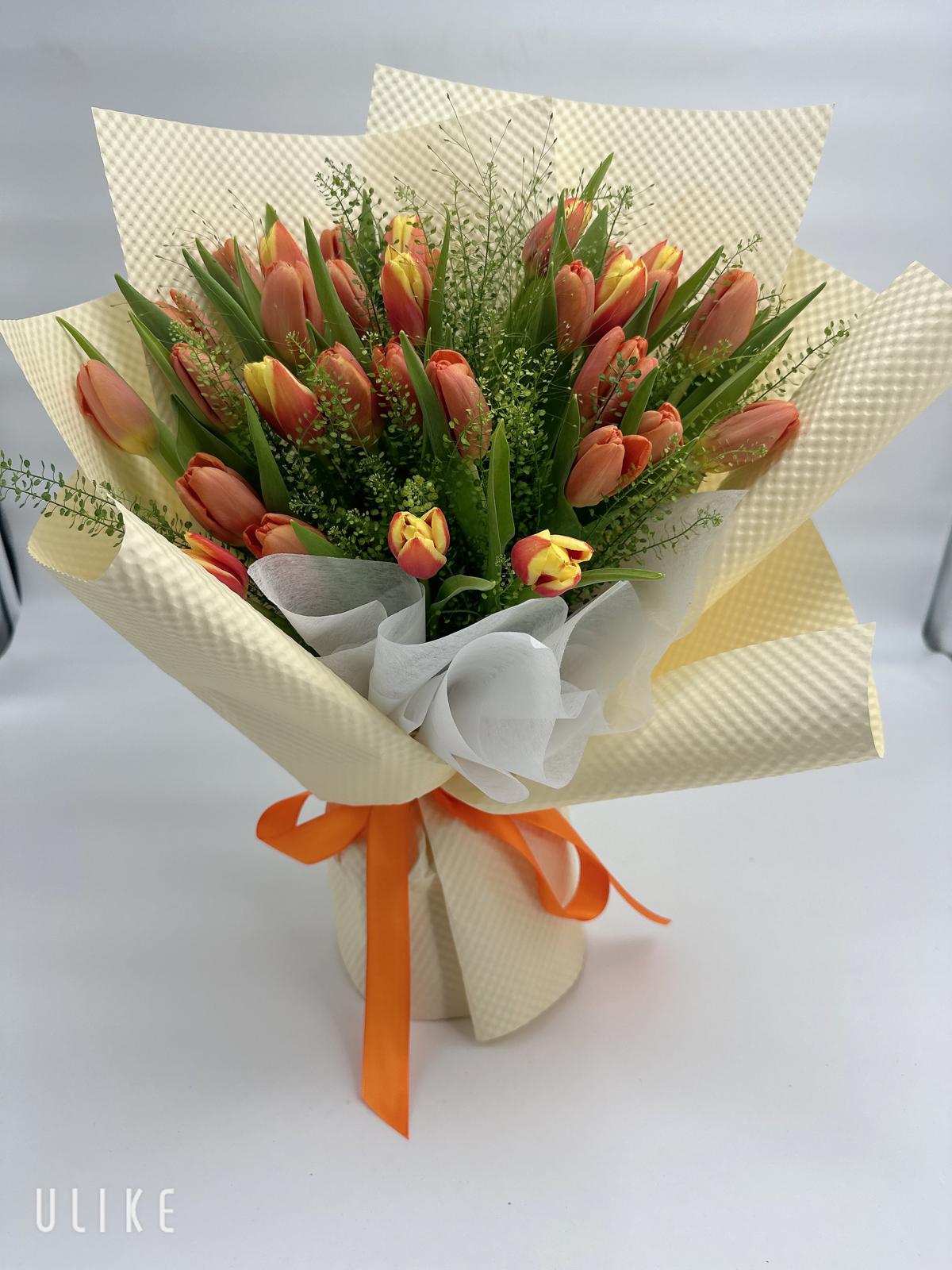 Tulip 05