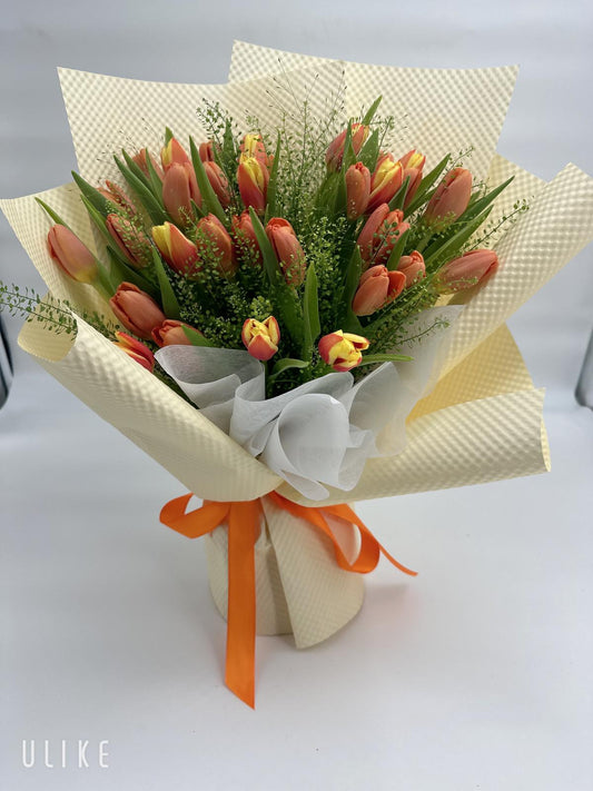 Tulip 05